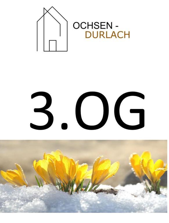 Ochsen-Durlach Карлсруе Номер фото
